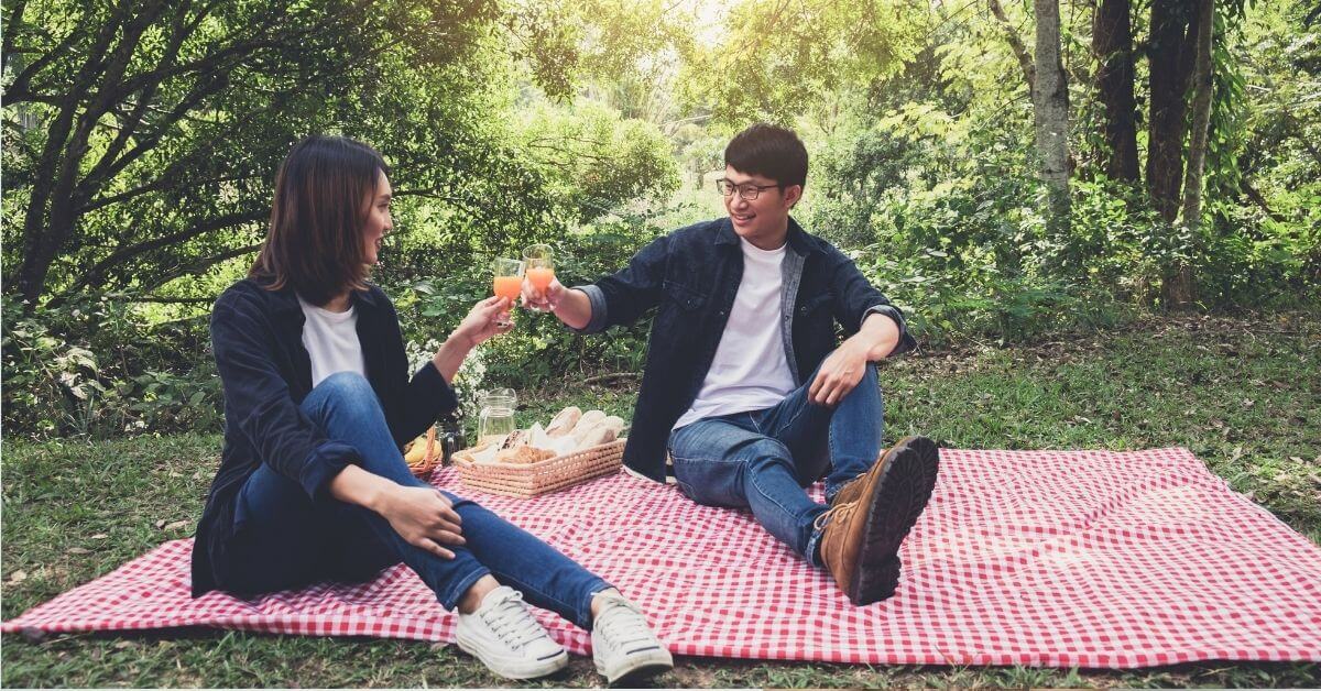 Plan a picnic date